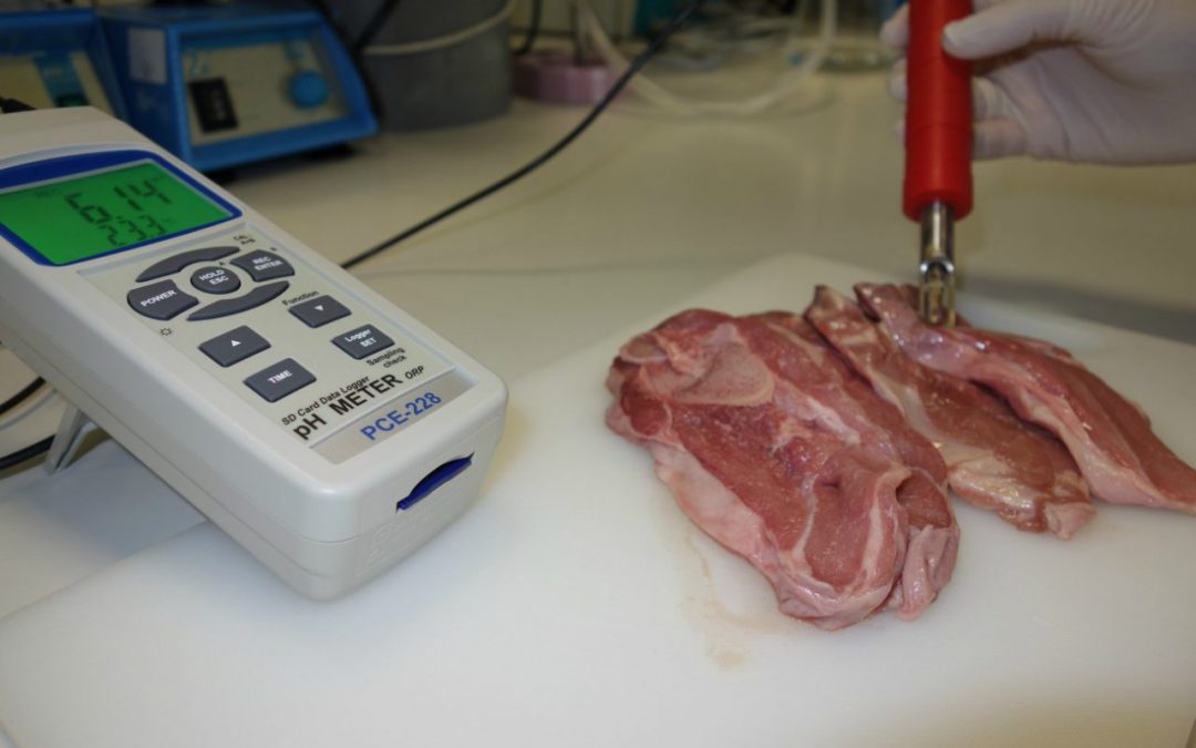 El pH como control de calidad de la carne y productos cárnicos