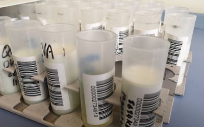 Agricultura incluye a CICAP en la relación de laboratorios autorizados para el control lechero