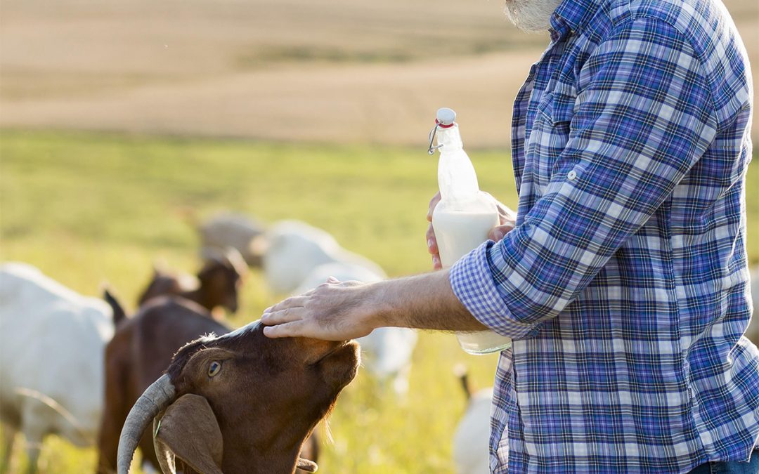 Proyectos Terminados CICAP Centro Tecnol gico De Investigaci n