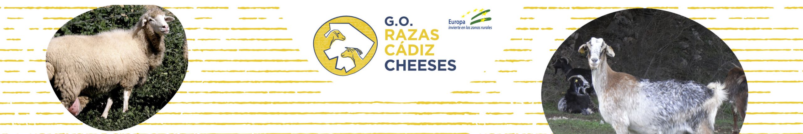 cabecera cadiz cheese RazasCádizCheeses