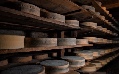 El origen del queso, una larga historia