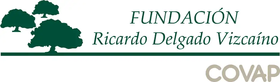 logo fundacion ricardo delgado vizcaino