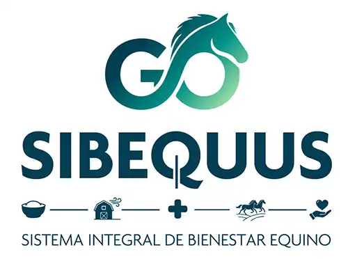 Logotipo de SIBEQUUS, bienestar integral equino