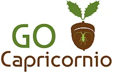 logo grupo operativo capricornio