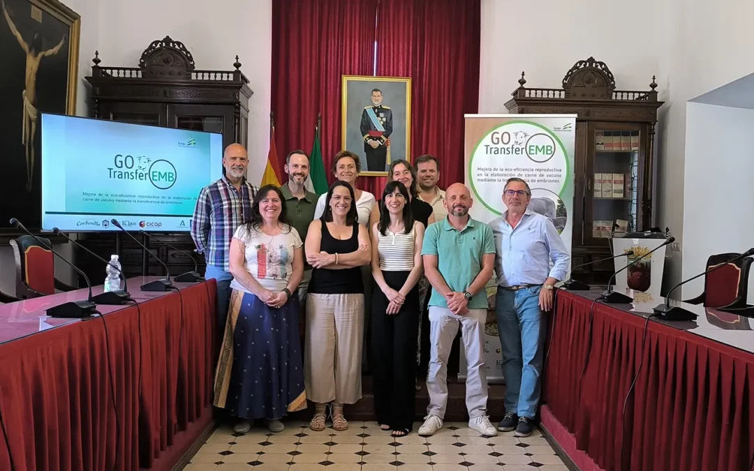 nota prensa3 grupo transferemb
