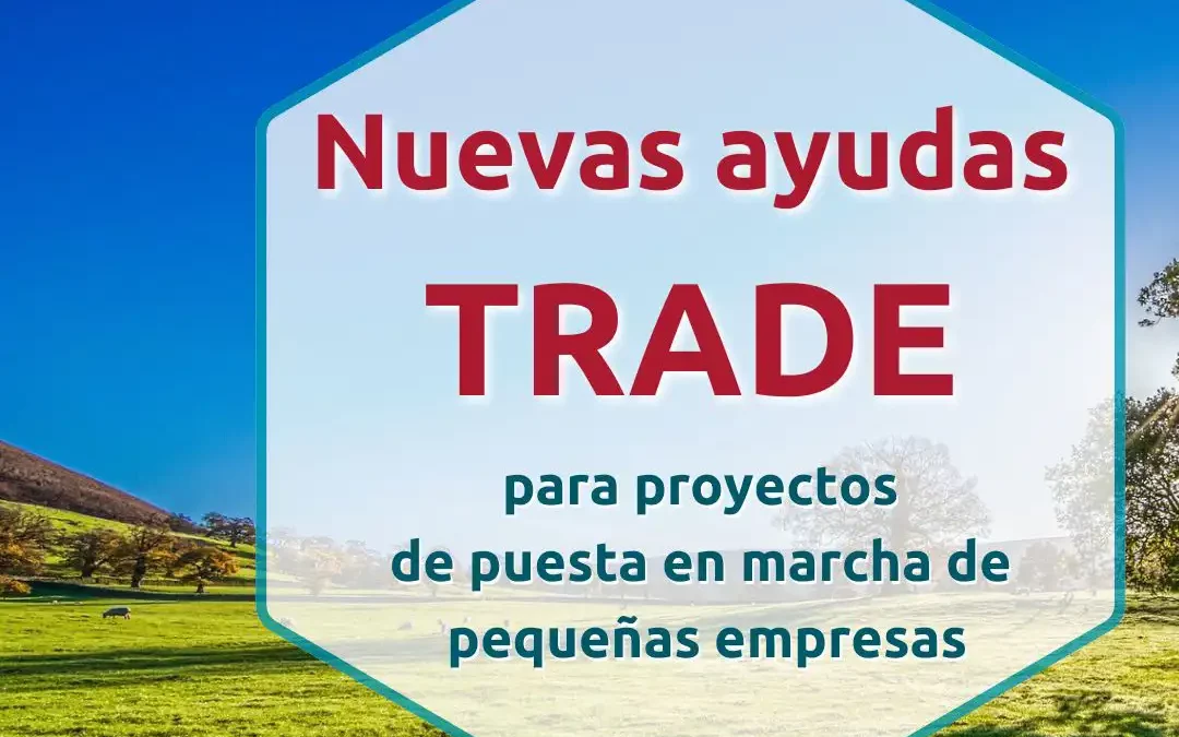 nuevas ayudas trade