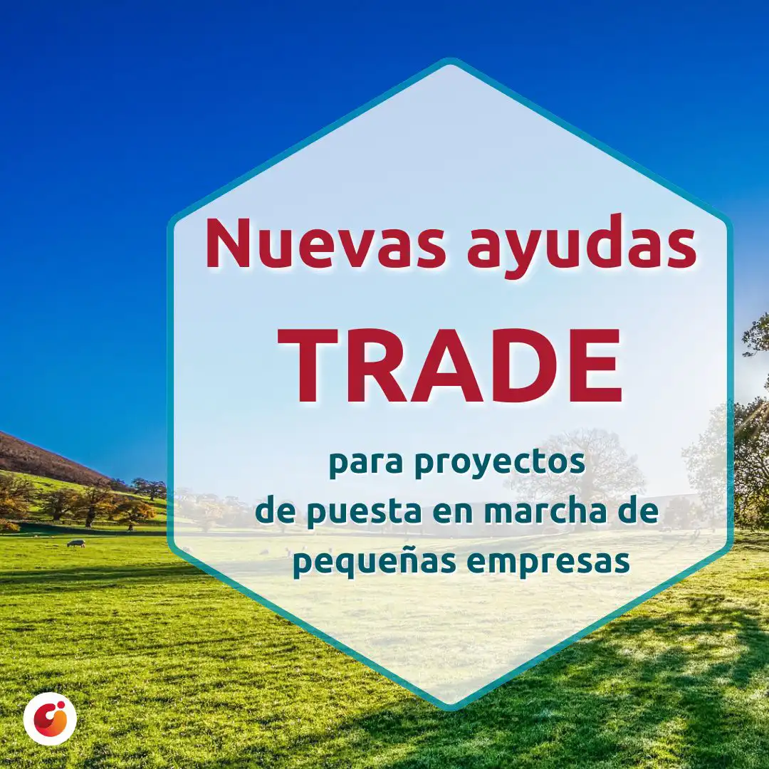 Subvenciones para proyectos de puesta en marcha de pequeñas empresas